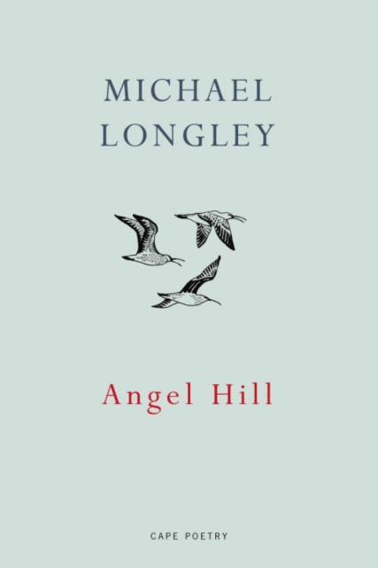 Angel Hill, Paperback / softback Book