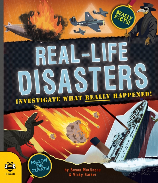 Real-life Disasters, PDF eBook