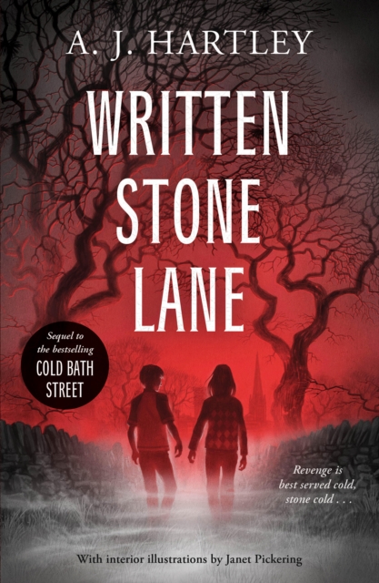 Written Stone Lane, Paperback / softback Book