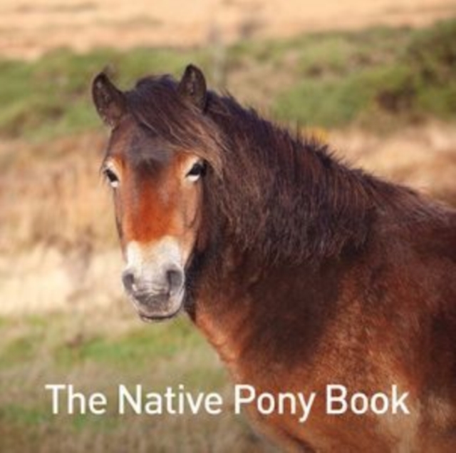 The Native Pony Book, Hardback Book