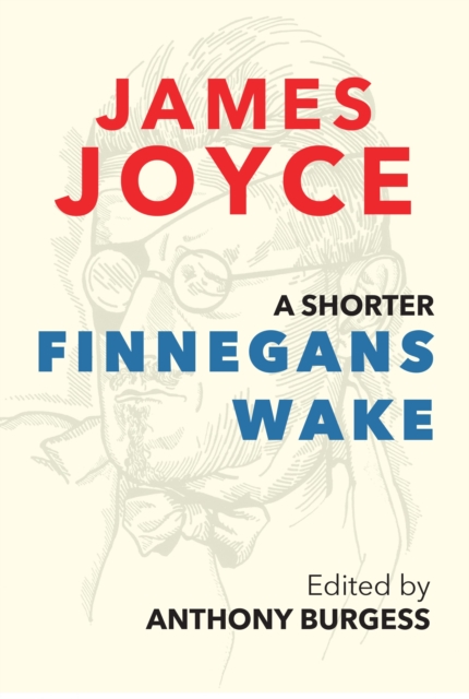 A Shorter Finnegans Wake, EPUB eBook