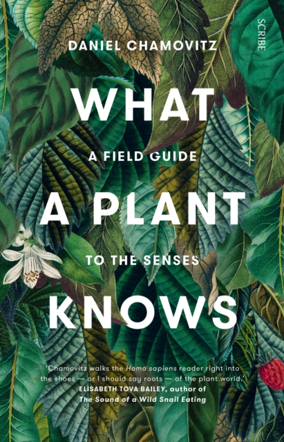 What a Plant Knows : a field guide to the senses, EPUB eBook