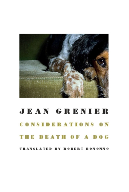 Considerations on the Death of a Dog, EPUB eBook