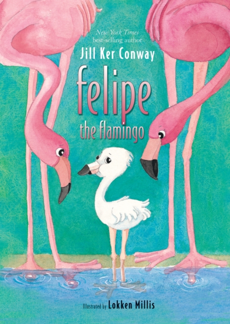 Felipe the Flamingo, EPUB eBook
