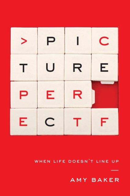 Picture Perfect : When Life Doesn't Line Up, EPUB eBook