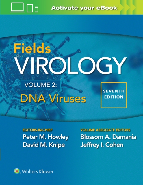 Fields Virology: DNA Viruses, Hardback Book