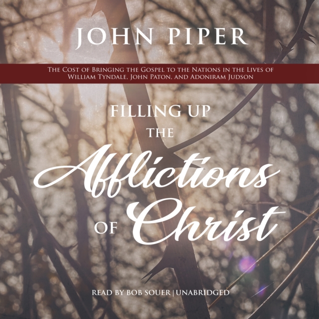 Filling Up the Afflictions of Christ, eAudiobook MP3 eaudioBook