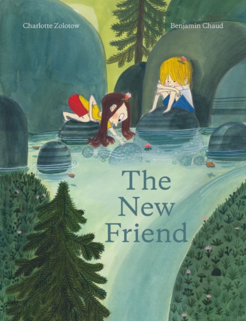 The New Friend, Hardback Book