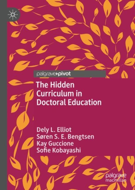 The Hidden Curriculum in Doctoral Education, EPUB eBook