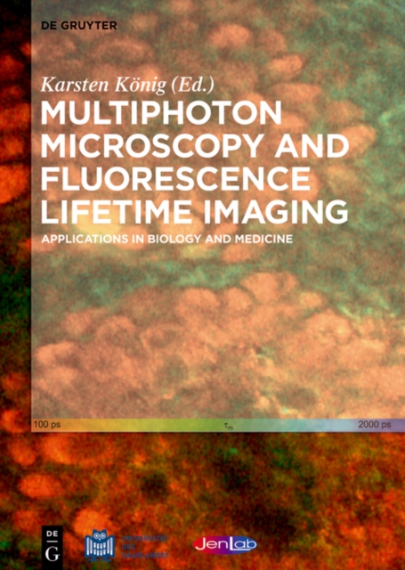 Multiphoton Microscopy and Fluorescence Lifetime Imaging : Applications in Biology and Medicine, EPUB eBook