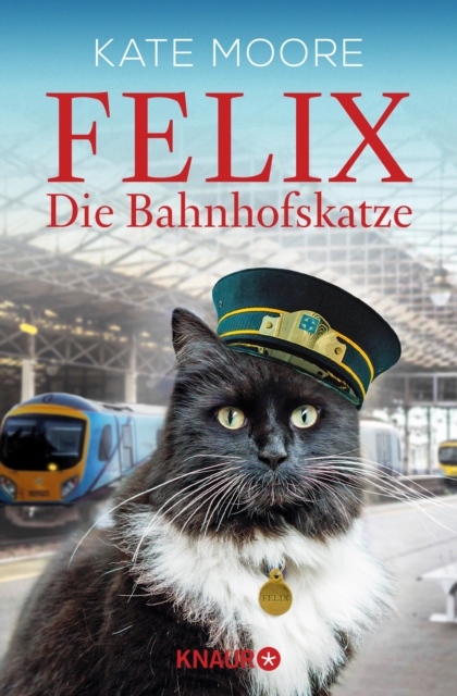 Felix - Die Bahnhofskatze, EPUB eBook