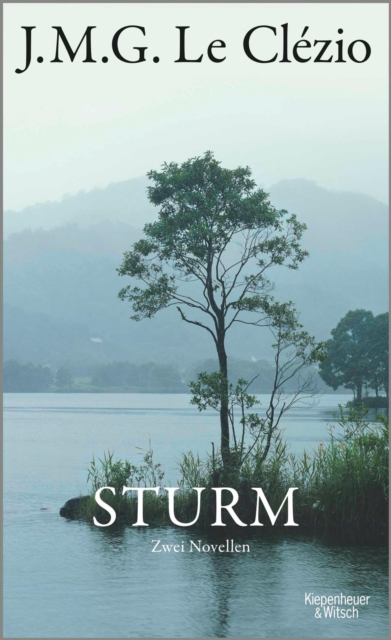 Sturm : Zwei Novellen, EPUB eBook