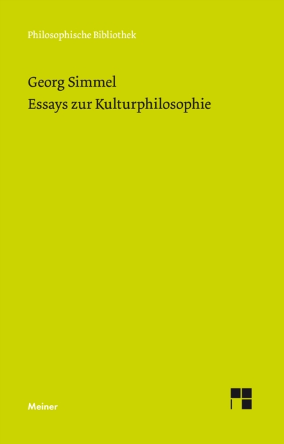 Essays zur Kulturphilosophie, PDF eBook