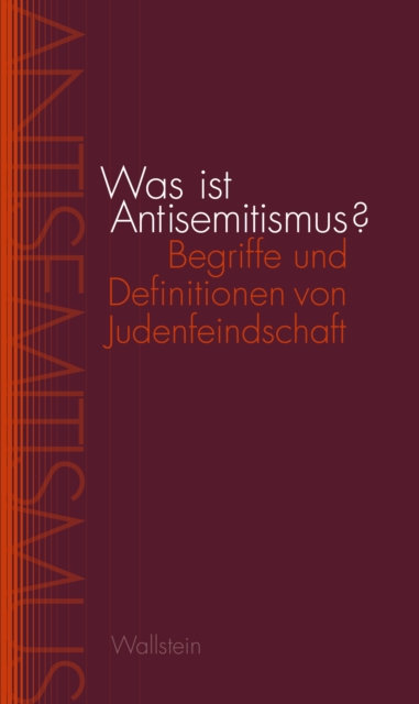 Was ist Antisemitismus? : Begriffe und Definitionen von Judenfeindschaft, EPUB eBook