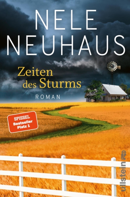 Zeiten des Sturms : Roman, EPUB eBook