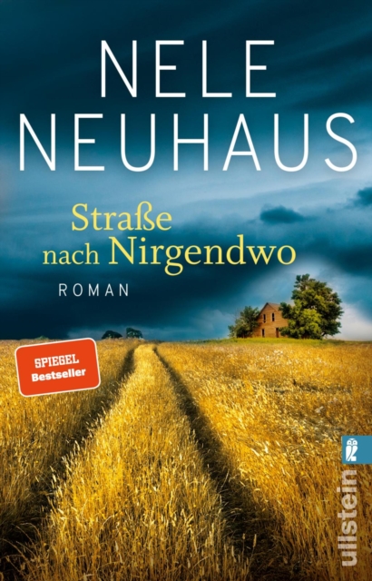 Strae nach Nirgendwo : Roman, EPUB eBook