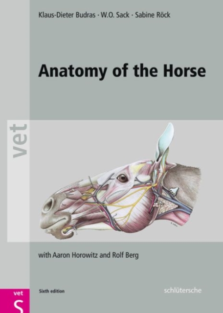 Anatomy of the Horse, Hardback Book