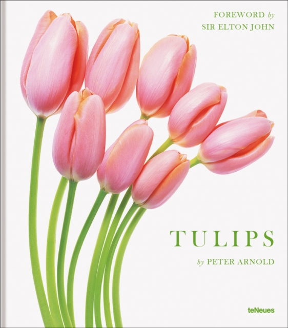 Tulips, Hardback Book
