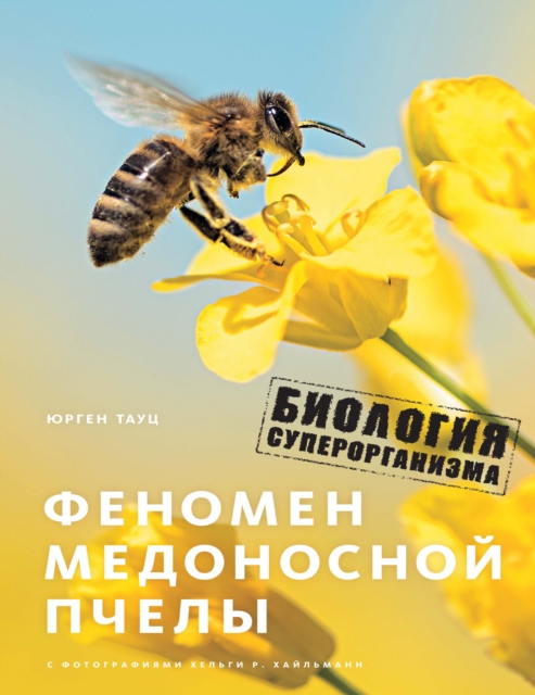 The Buzz about Bees: Biology of a Superorganism, EPUB eBook