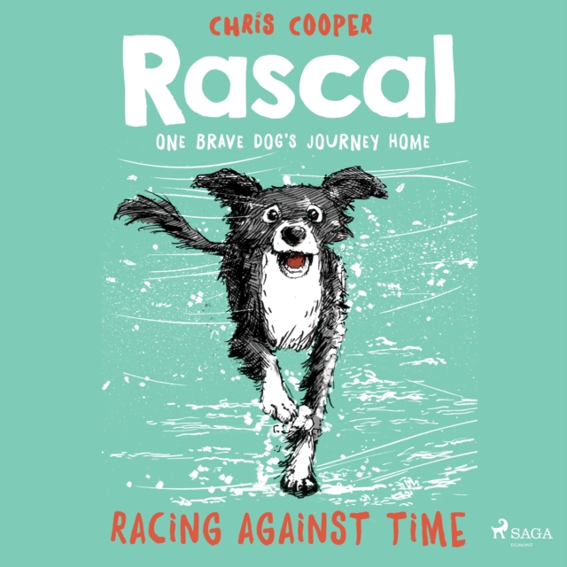 Rascal 6 - Racing Against Time, eAudiobook MP3 eaudioBook