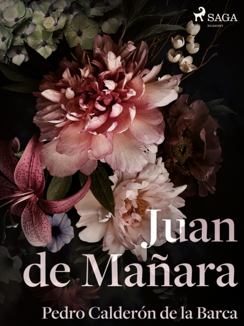 Juan de Manara, EPUB eBook
