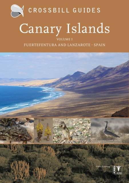 Canary Islands : Fuerteventura and Lanzarote - Spain Vol. 1, Paperback / softback Book