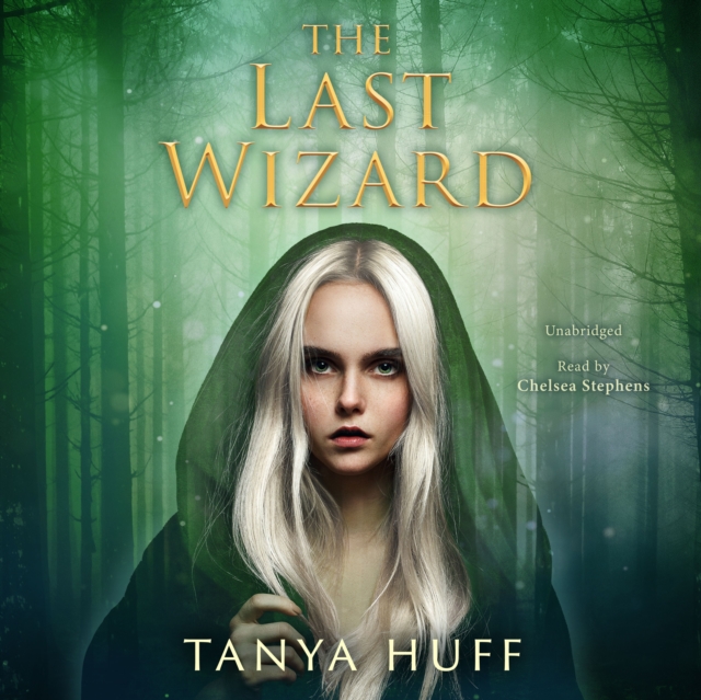 The Last Wizard, eAudiobook MP3 eaudioBook