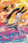 Rising Star (Silver Dolphins, Book 7) - eBook
