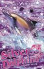 Stormy Skies (Silver Dolphins, Book 8) - eBook