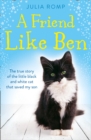 A Friend Like Ben : The true story of the little black and white cat that saved my son - eBook