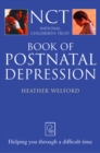 The Postnatal Depression - eBook