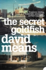 The Secret Goldfish - eBook