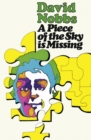 A Piece of the Sky is Missing - eBook