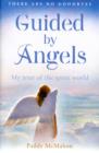 Guided By Angels : There are No Goodbyes, My Tour of the Spirit World - Book
