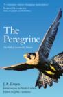 The Peregrine : The Hill of Summer & Diaries: the Complete Works of J. A. Baker - eBook