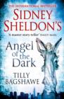 Sidney Sheldon's Angel of the Dark - eBook