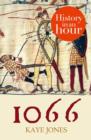 1066: History in an Hour - eBook
