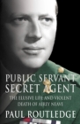 Public Servant, Secret Agent - eBook
