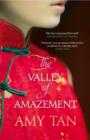 The Valley of Amazement - eBook