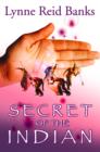 Secret of the Indian - eBook