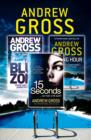 Andrew Gross 3-Book Thriller Collection 2 : 15 Seconds, Killing Hour, the Blue Zone - eBook