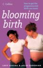 Blooming Birth : How to get the pregnancy and birth you want - eBook