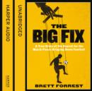 The Big Fix - eAudiobook