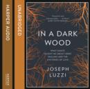 In a Dark Wood : What Dante Taught Me About Grief, Healing, and the Mysteries of Love - eAudiobook