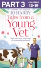 Tales from a Young Vet: Part 3 of 3 : Mad Cows, Crazy Kittens, and All Creatures Big and Small - eBook