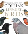Collins Life-Size Birds : The Only Guide to Show British Birds at Their Actual Size - Book