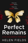 Perfect Remains - Book
