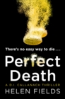 Perfect Death - Book