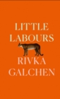 Little Labours - eBook