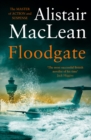 Floodgate - Book
